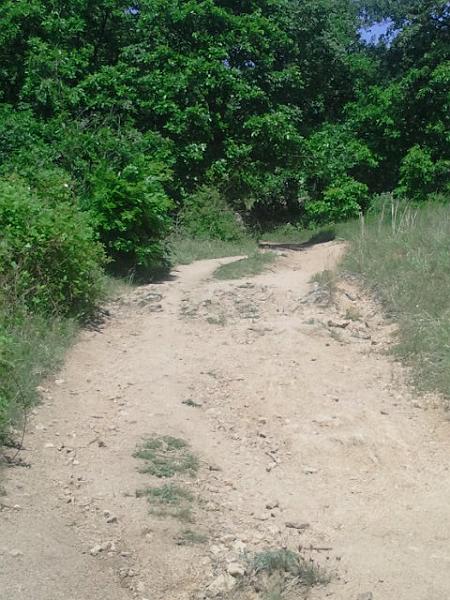 2017-05-20 11.56.22.jpg